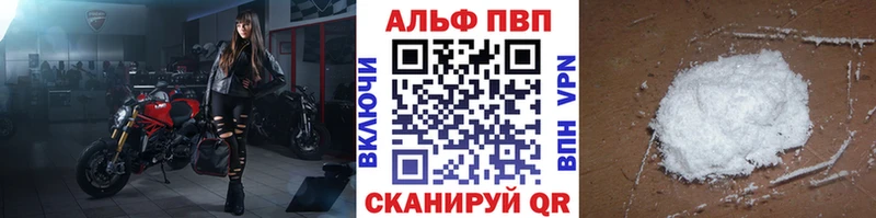 A-PVP СК  Шадринск 