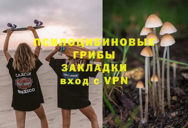 ECSTASY Нея