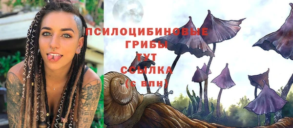 ECSTASY Нея